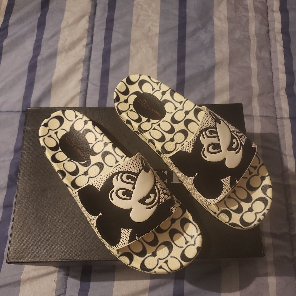 Coach Mickey Slides